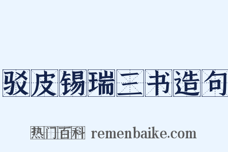 驳皮锡瑞三书造句是什么意思的图片